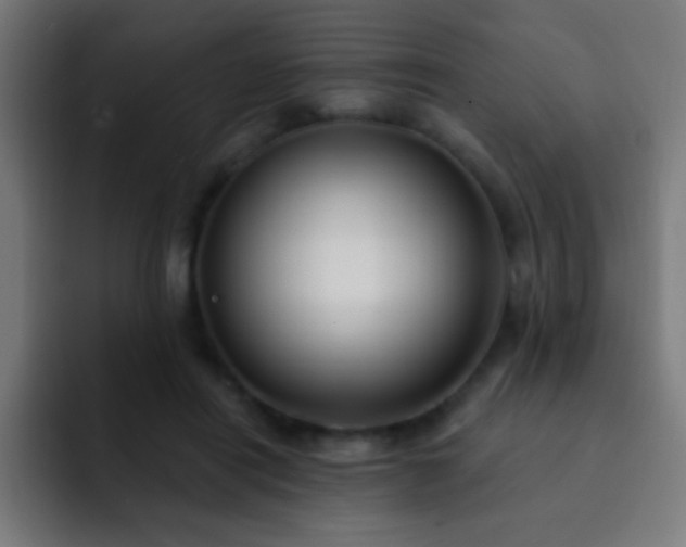 X0000093090454200710031815