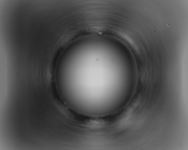 X0000093090455200710031815