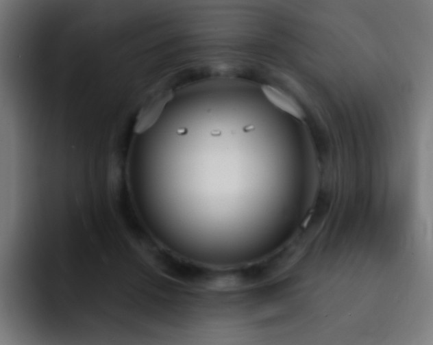 X0000093090456200710031815