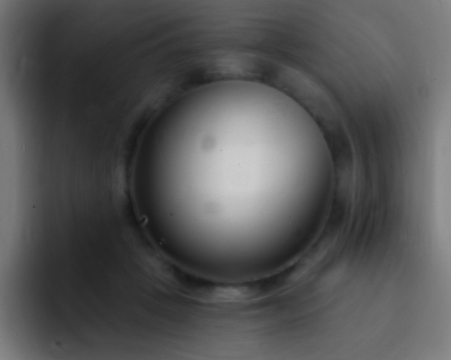 X0000093090457200710031815