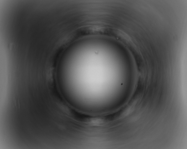 X0000093090462200710031815