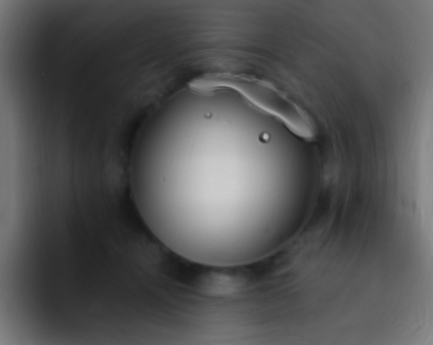 X0000093090464200710031815