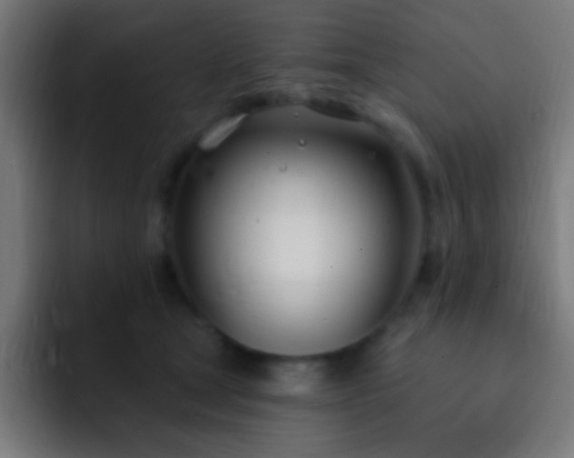 X0000093090465200710031815