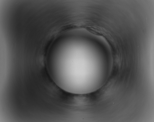 X0000093090470200710031815