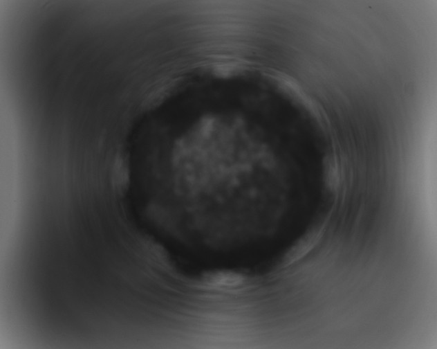 X0000093090471200710031815