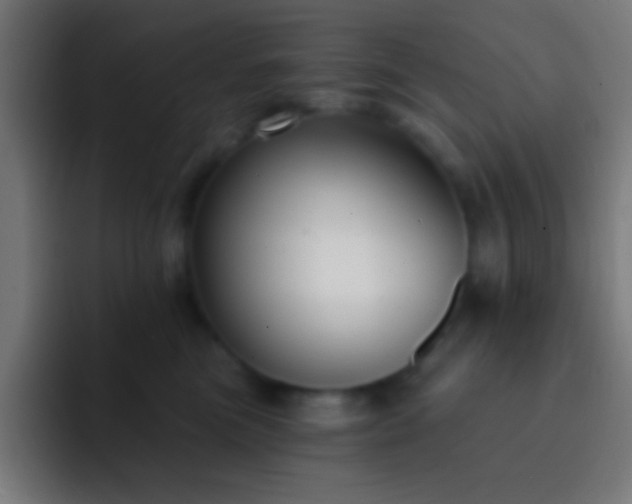 X0000093090473200710031815