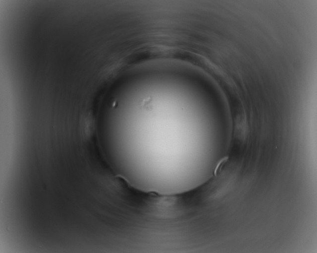 X0000093090474200710031815