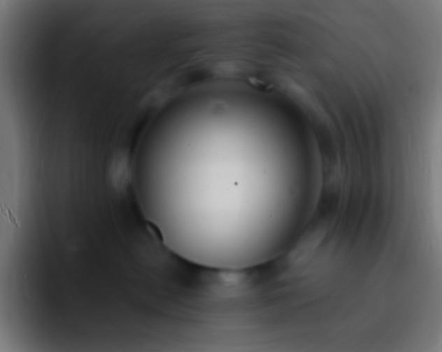 X0000093090478200710031815