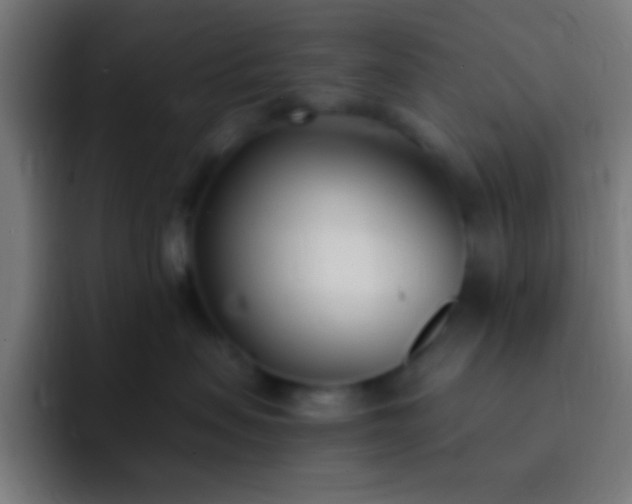 X0000093090479200710031815