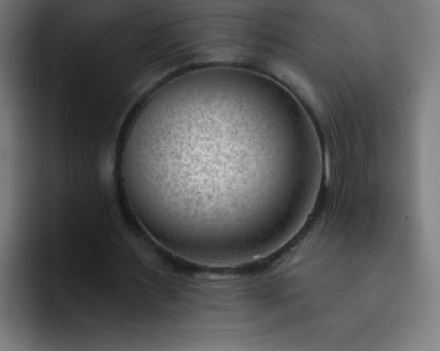 X0000093090483200710031814