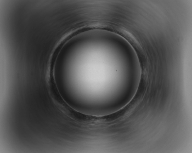 X0000093090484200710031814