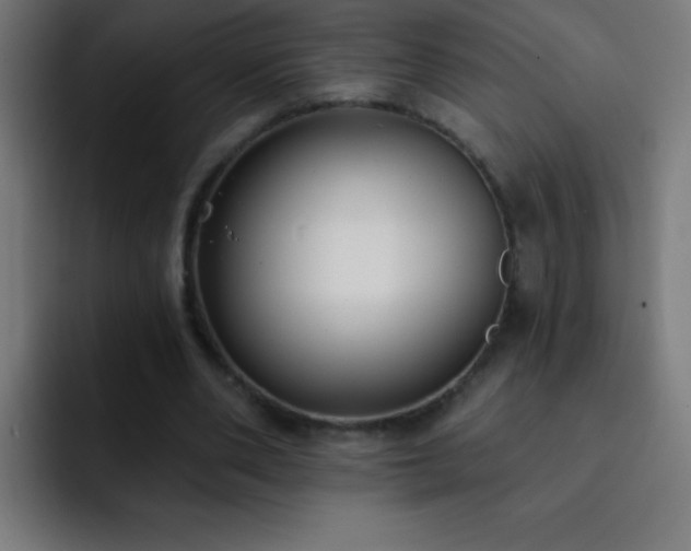 X0000093090486200710031814