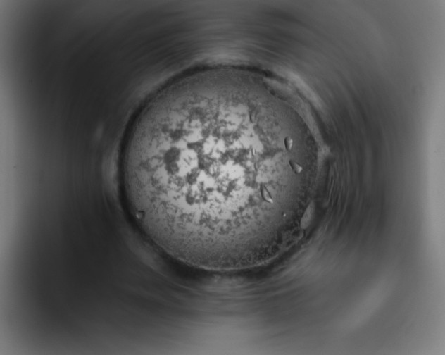 X0000093090487200710031814