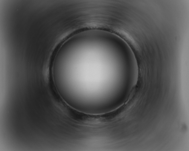 X0000093090488200710031814