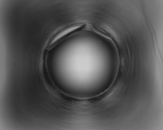 X0000093090492200710031814