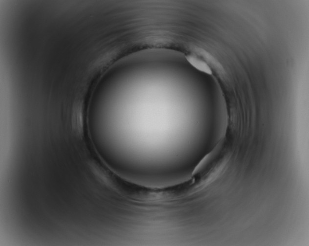 X0000093090493200710031814