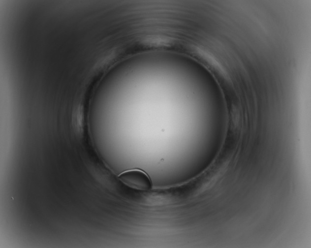 X0000093090494200710031814