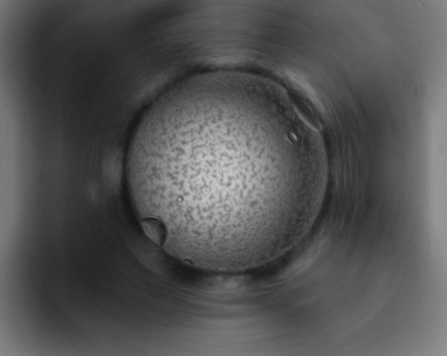 X0000093090495200710031814