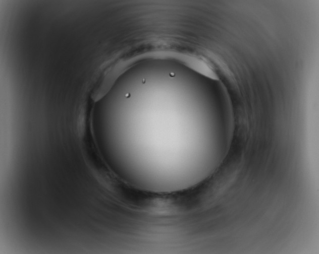 X0000093090496200710031814