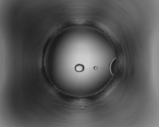 X0000093090497200710031814