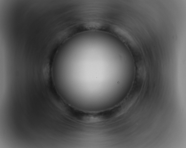 X0000093090498200710031814