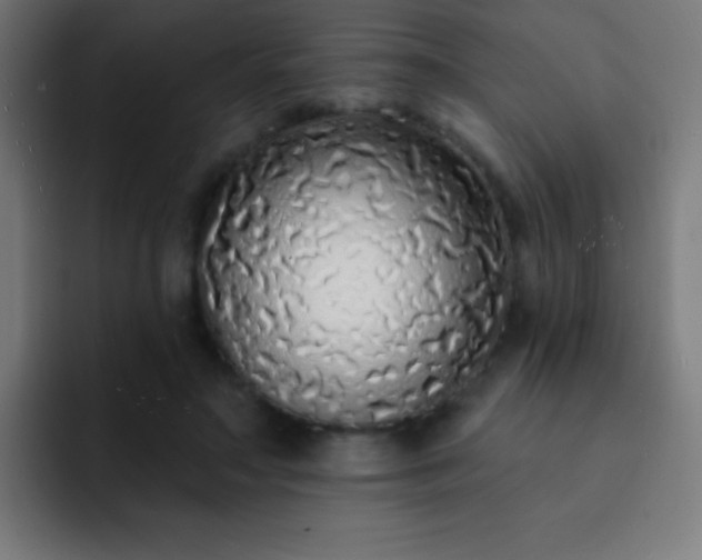 X0000093090499200710031814