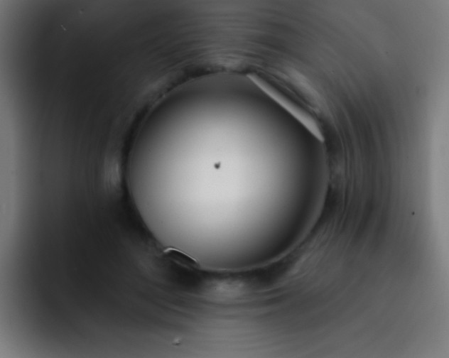 X0000093090500200710031814