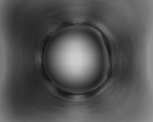 X0000093090501200710031814