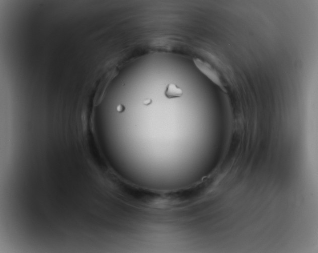 X0000093090504200710031814