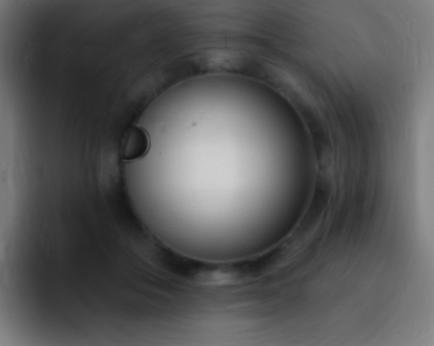 X0000093090506200710031814