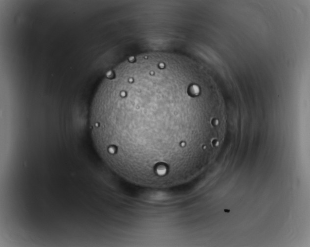 X0000093090507200710031814