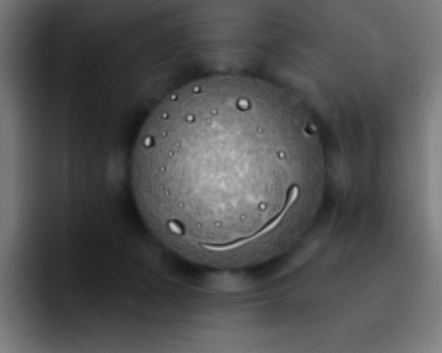 X0000093090511200710031814