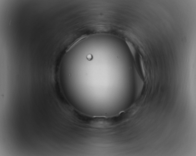 X0000093090512200710031814