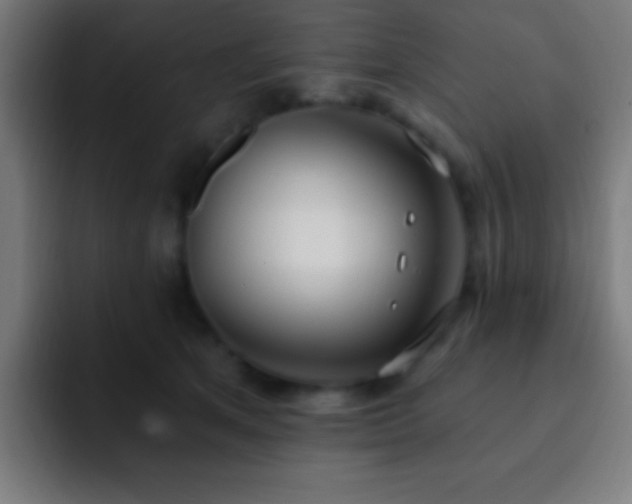 X0000093090513200710031814