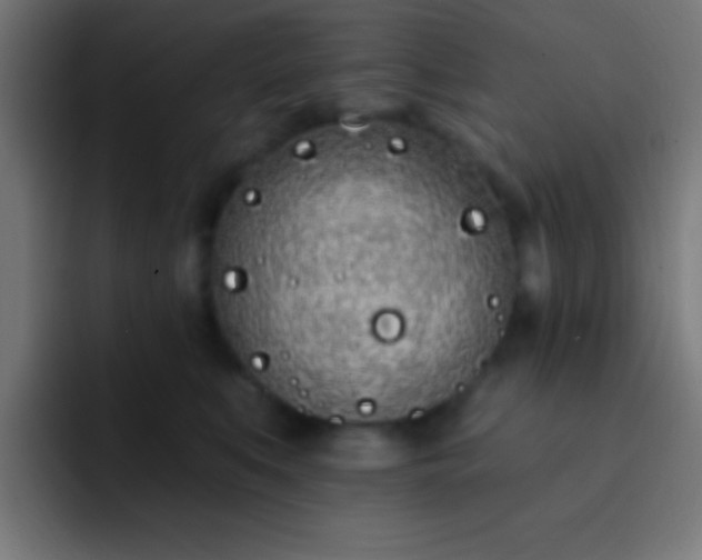 X0000093090519200710031814