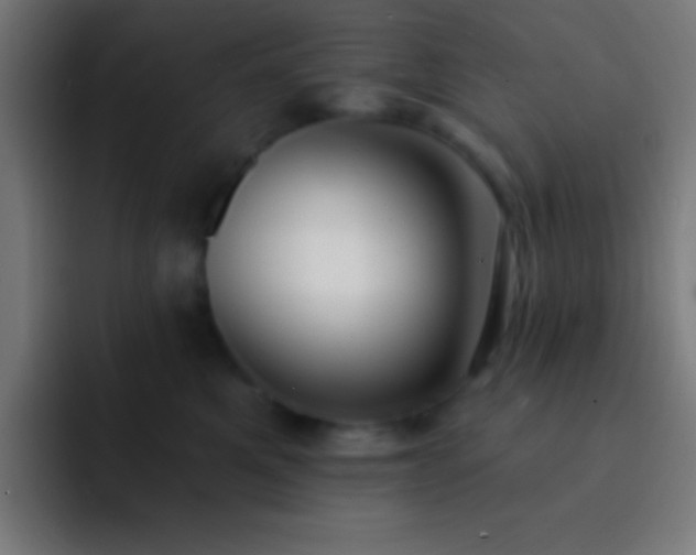 X0000093090521200710031814