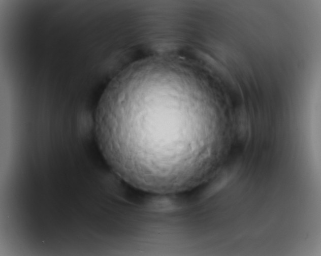 X0000093090523200710031814