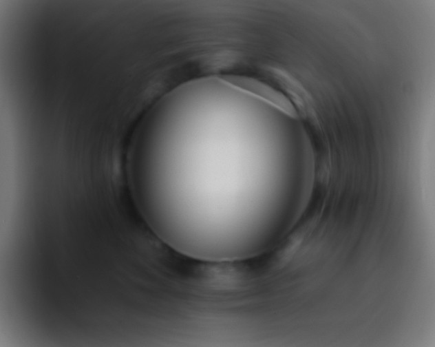 X0000093090524200710031814