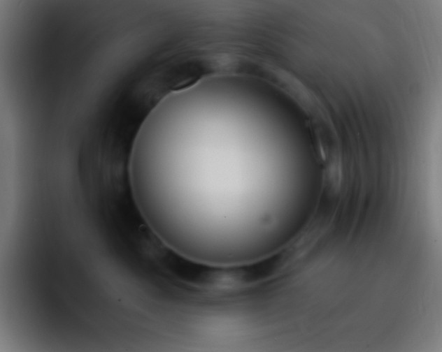 X0000093090525200710031814