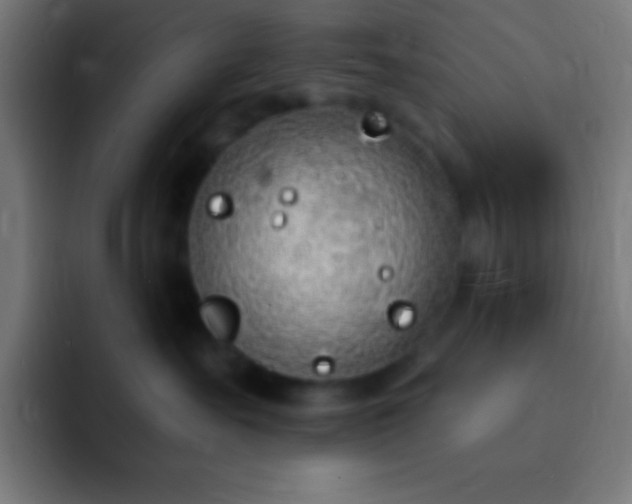 X0000093090527200710031814