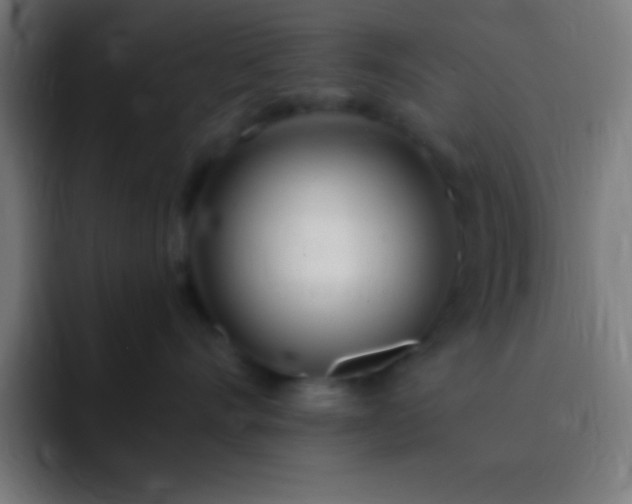 X0000093090528200710031814