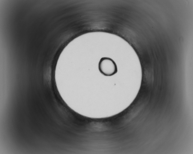 X0000093090534200710031813