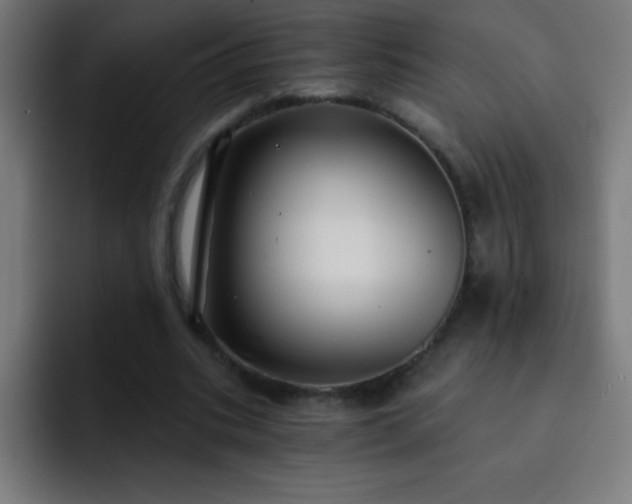 X0000093090535200710031813