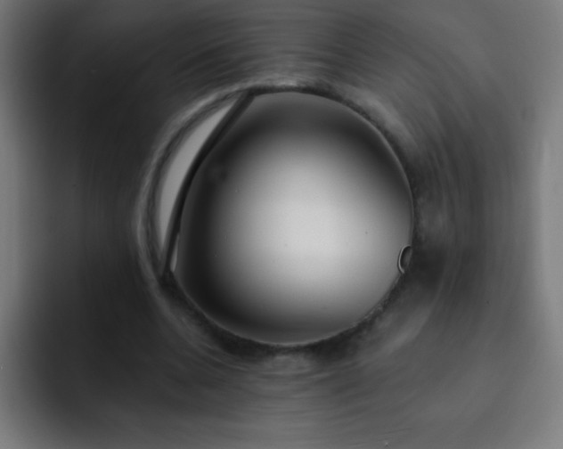 X0000093090536200710031813