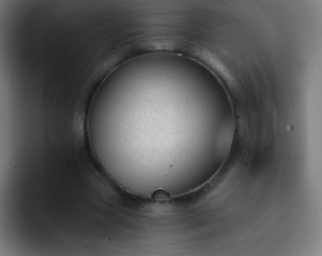 X0000093090537200710031813