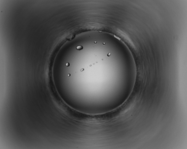 X0000093090538200710031813