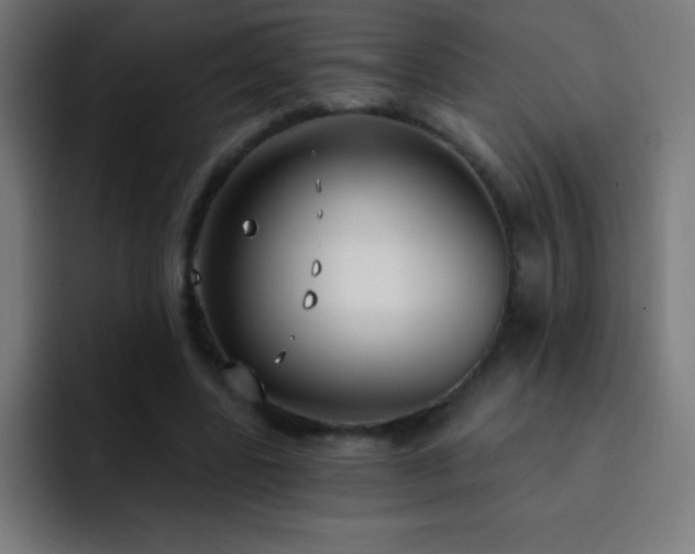 X0000093090539200710031813