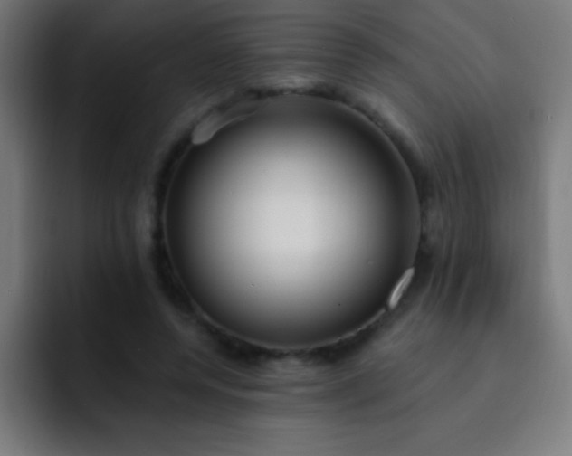 X0000093090544200710031814