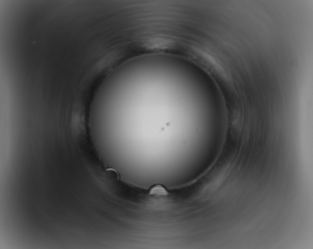 X0000093090547200710031814