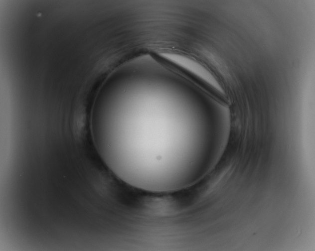 X0000093090548200710031814